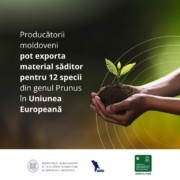 agro producatorii moldoveni pot exporta in ue plante din specia prunus l d4d5369