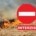 arderea vegetatiei uscate interzisa inspectoratul pentru protectia mediului vine cu un indemn catre cetateni 3995783