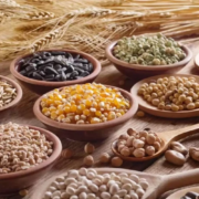 comisia de licentiere a importului de cereale si oleaginoase isi va inceta activitatea 57f663b