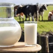 consiliul concurentei a desfasurat inspectii inopinate la producatorii de lapte b8c47df