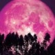 fenomen astronomic rar luna roz sau luna capsunilor va putea fi observata pe cer pe 21 iunie 0d63058