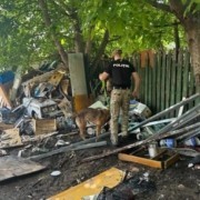 foto remorci cu gunoi ridicate de pe un teren din chisinau proprietarul a chemat politia si a accidentat un muncitor 56958d7
