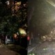 foto video furtuna a facut ravagii in tara copaci doborati si intreruperi de energie electrica 8087423