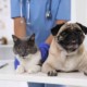 medicamentele de uz veterinar vor fi inregistrate printr o procedura simplificata 5b31b23