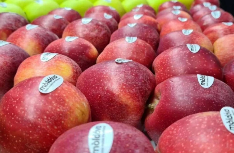 moldova a inceput exporturile regulate de mere in india d904ae1