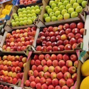noi posibilitati de export pentru fructele moldovenesti pe piata marii britanii 01393af
