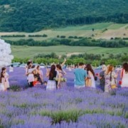nu rata festivalul apusul mov 2024 vino sa te bucuri de farmecul lavandei din codrii moldovei 28b4ba0