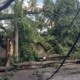 video 16 institutii de invatamant din chisinau afectate de ploi muncitorii lucreaza pentru a evacua copacii rupti ebbdddf