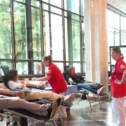 video de ziua mondiala donatorului de sange palatul republicii s a tranformat intr un cabinet medical ac212d0