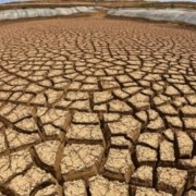 ziua mondiala pentru combaterea desertificarii si a secetei cum protejam solul 740ce8b