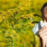moldovenii si ambrozia cum sa se protejeze de alergiile provocate de aceasta planta 51b9d69