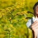 moldovenii si ambrozia cum sa se protejeze de alergiile provocate de aceasta planta 51b9d69