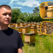 video afacere dulce la leova tanarul andrian popa a revenit de peste hotare pentru a deveni apicultor 1683c8d