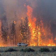 video incendiu de vegetatie in california de nord mii de persoane au fost evacuate b0a716d