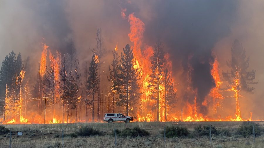 VIDEO Incendiu de vegetație în California de Nord. Mii de persoane au fost evacuate