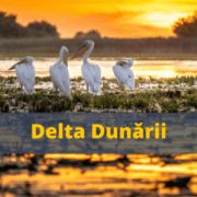 video romania turistica delta dunarii paradisul dintre ecuator shi polul nord a9ebd14